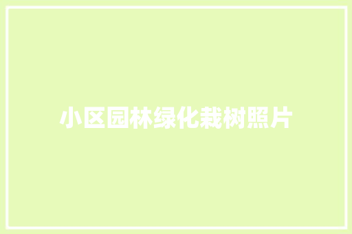小区园林绿化栽树照片