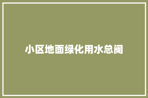 小区地面绿化用水总阀