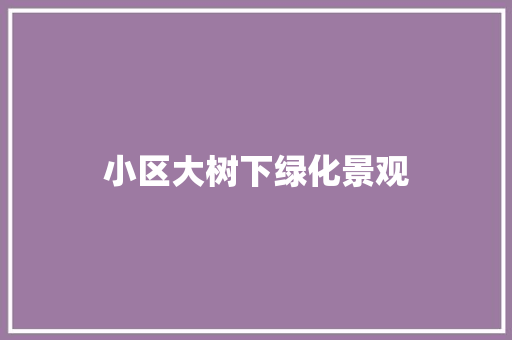 小区大树下绿化景观