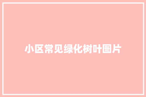 小区常见绿化树叶图片