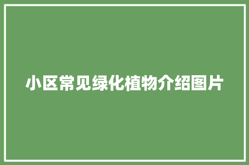 小区常见绿化植物介绍图片