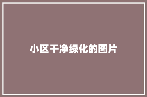 小区干净绿化的图片