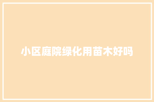 小区庭院绿化用苗木好吗