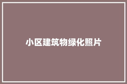 小区建筑物绿化照片