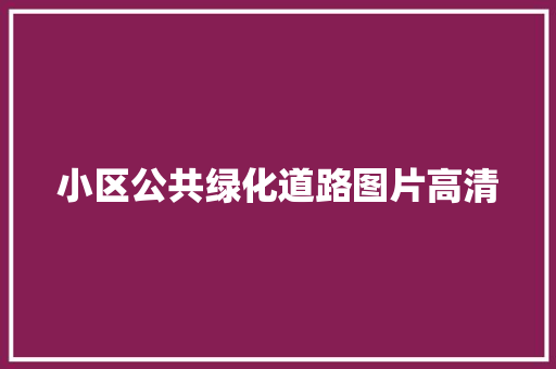 小区公共绿化道路图片高清