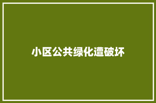 小区公共绿化遭破坏