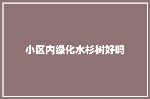 小区内绿化水杉树好吗