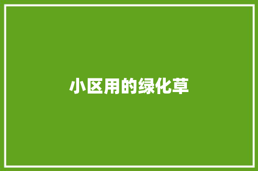小区用的绿化草