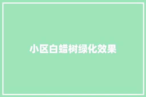 小区白蜡树绿化效果