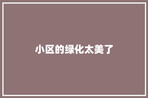 小区的绿化太美了