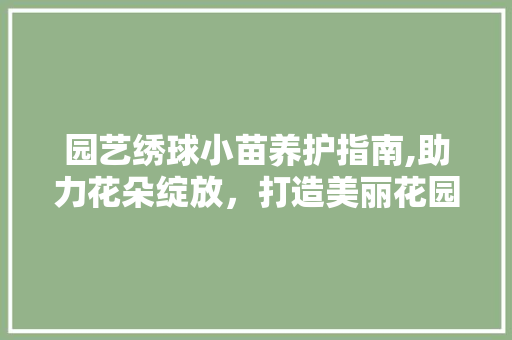 园艺绣球小苗养护指南,助力花朵绽放，打造美丽花园