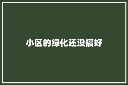 小区的绿化还没搞好