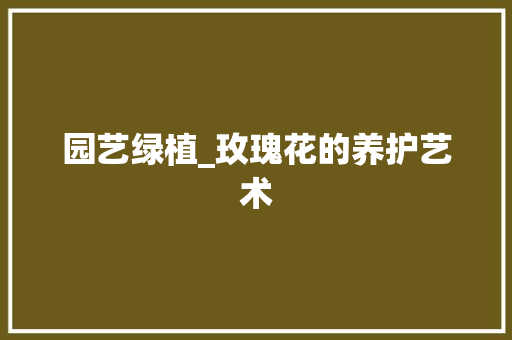 园艺绿植_玫瑰花的养护艺术