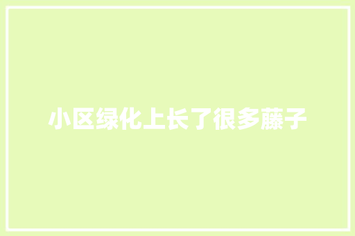 小区绿化上长了很多藤子