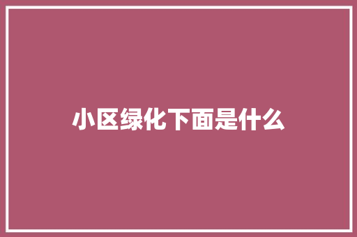 小区绿化下面是什么