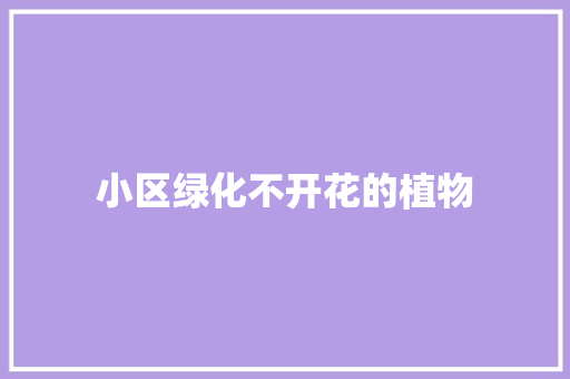小区绿化不开花的植物