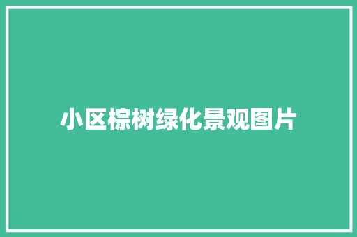 小区棕树绿化景观图片