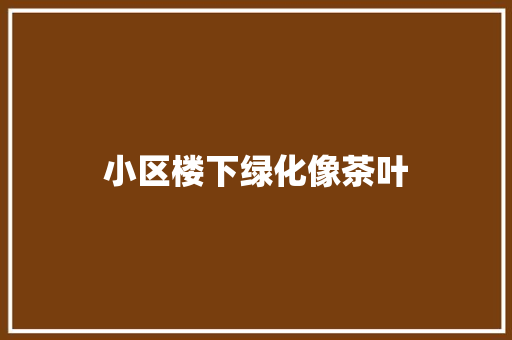 小区楼下绿化像茶叶