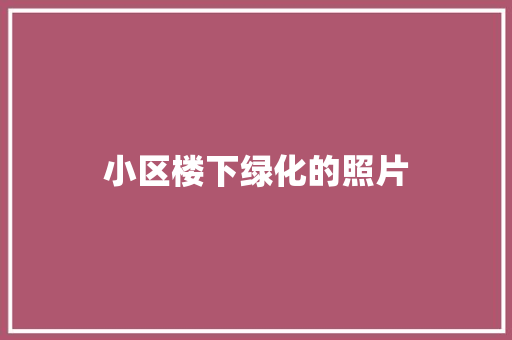 小区楼下绿化的照片