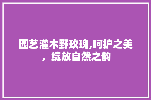 园艺灌木野玫瑰,呵护之美，绽放自然之韵