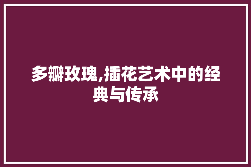 多瓣玫瑰,插花艺术中的经典与传承