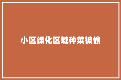 小区绿化区域种菜被偷