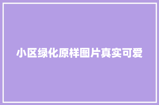 小区绿化原样图片真实可爱