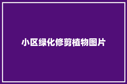 小区绿化修剪植物图片