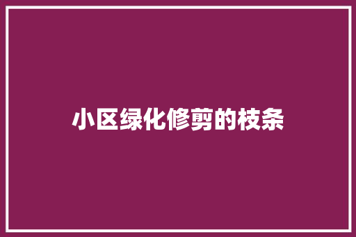 小区绿化修剪的枝条