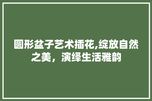 圆形盆子艺术插花,绽放自然之美，演绎生活雅韵