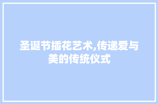 圣诞节插花艺术,传递爱与美的传统仪式