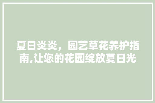 夏日炎炎，园艺草花养护指南,让您的花园绽放夏日光彩