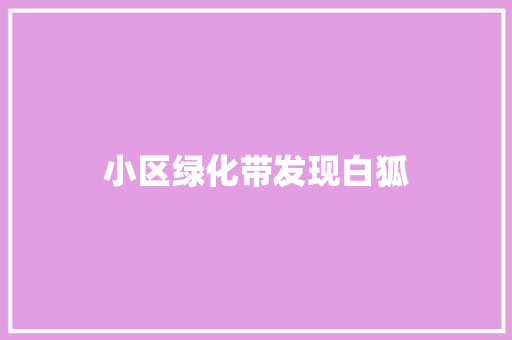 小区绿化带发现白狐
