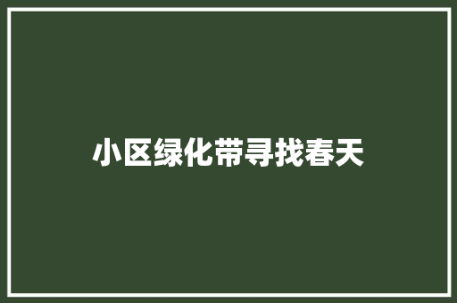 小区绿化带寻找春天
