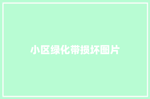 小区绿化带损坏图片