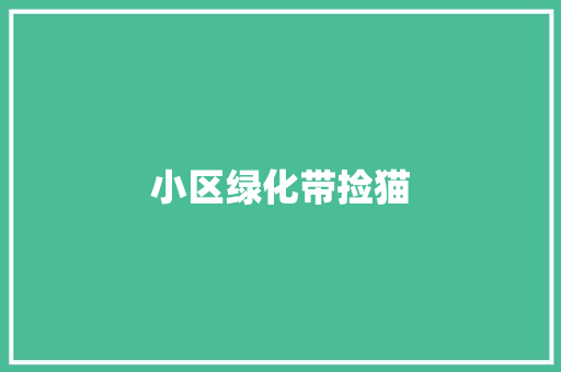 小区绿化带捡猫