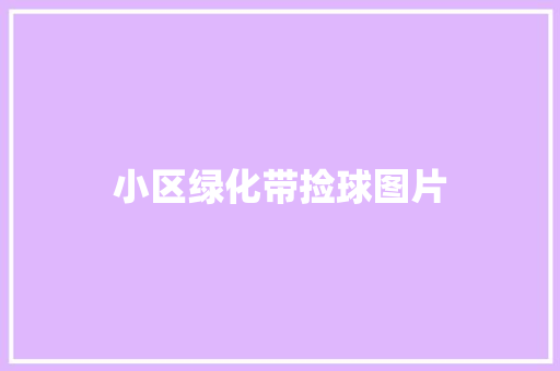 小区绿化带捡球图片