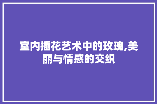 室内插花艺术中的玫瑰,美丽与情感的交织