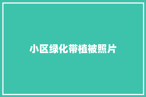 小区绿化带植被照片