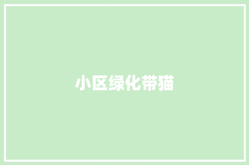 小区绿化带猫