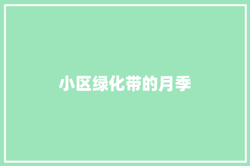 小区绿化带的月季