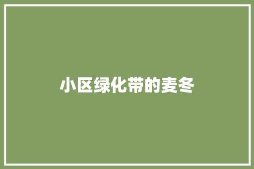 小区绿化带的麦冬