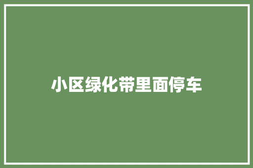 小区绿化带里面停车