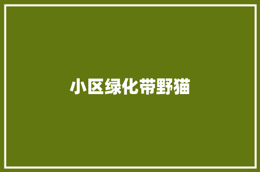 小区绿化带野猫