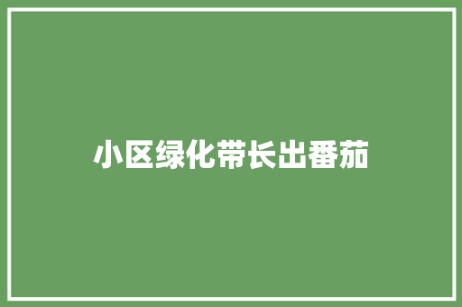 小区绿化带长出番茄