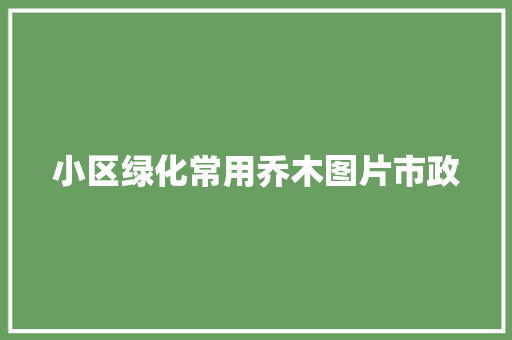 小区绿化常用乔木图片市政