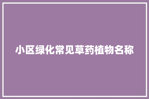 小区绿化常见草药植物名称