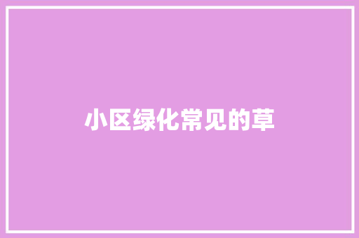 小区绿化常见的草