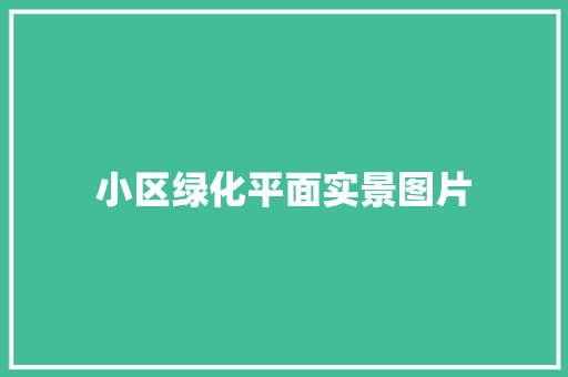 小区绿化平面实景图片
