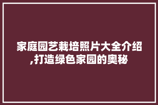 家庭园艺栽培照片大全介绍,打造绿色家园的奥秘
